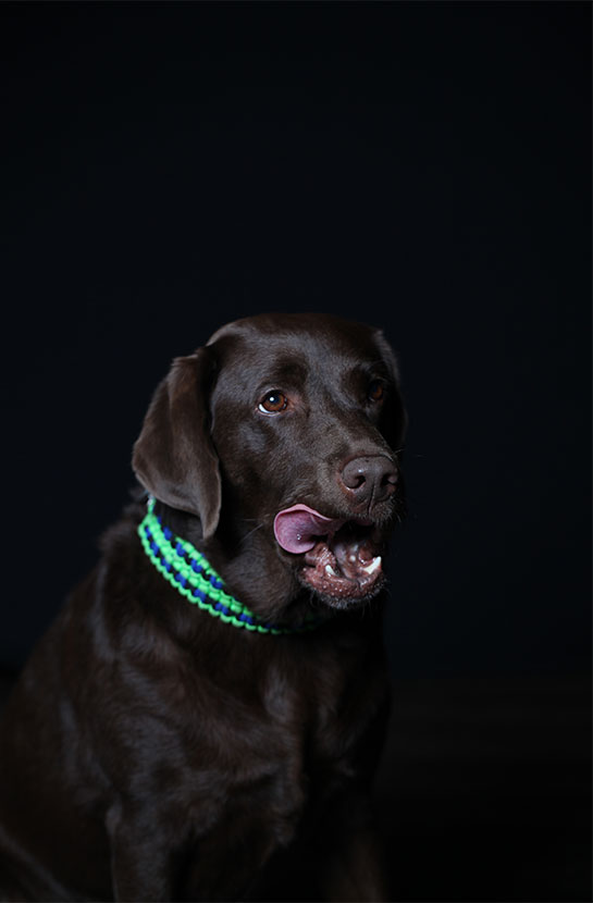 Malou - Tigringerhof Teamfoto - Inkasso